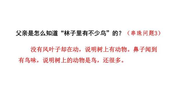 父亲树林和鸟PPT课件76