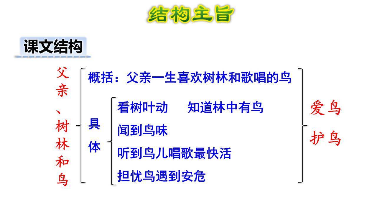 父亲树林和鸟PPT课件77