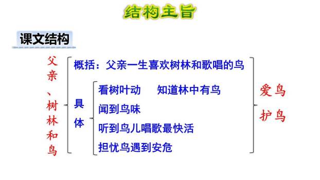 父亲树林和鸟PPT课件77