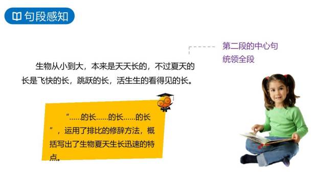 夏天里的成长PPT课件48