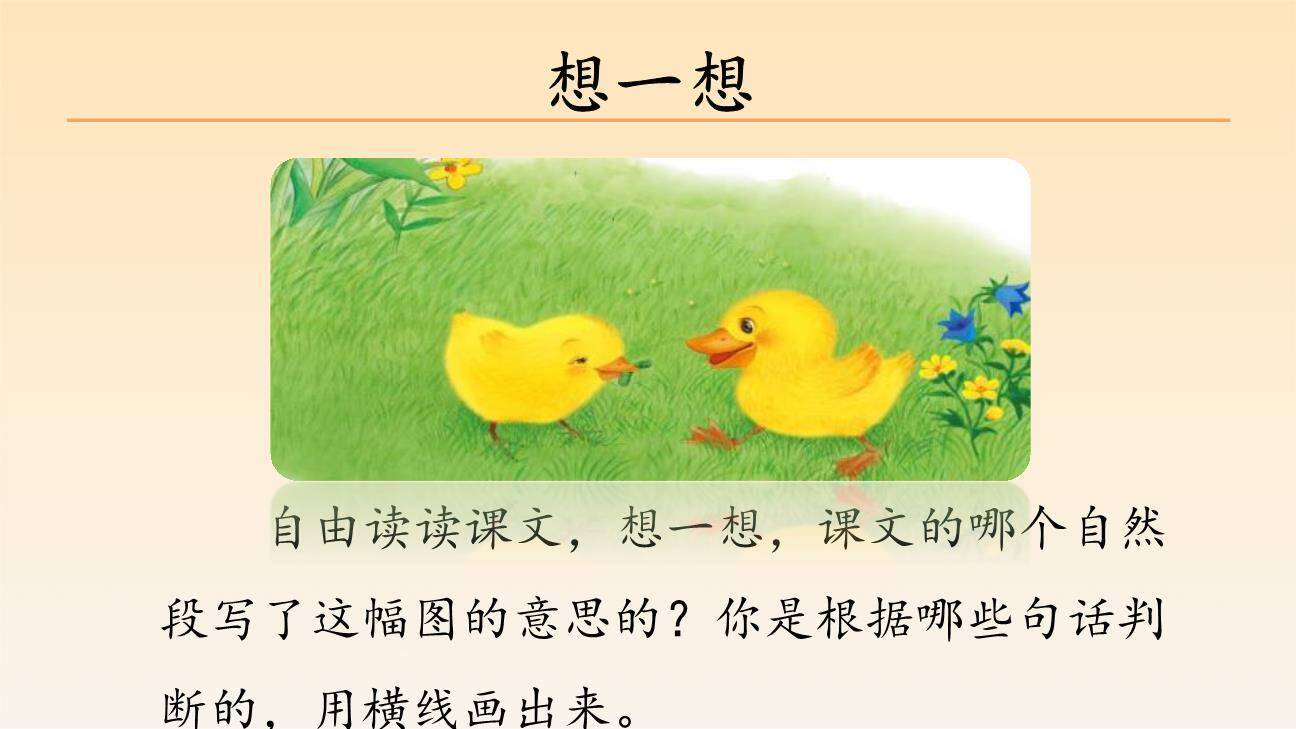 小公鸡和小鸭子PPT课件31