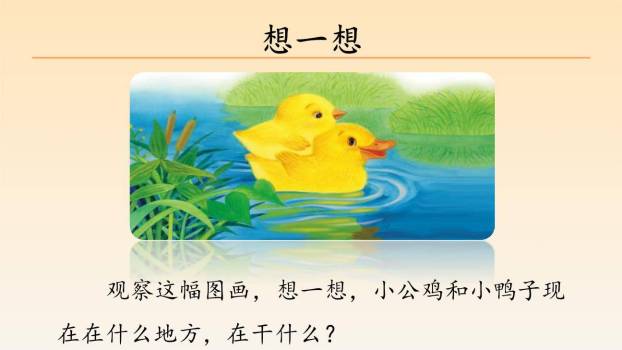 小公鸡和小鸭子PPT课件32