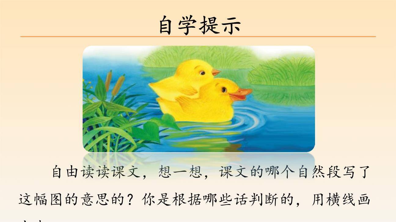 小公鸡和小鸭子PPT课件33