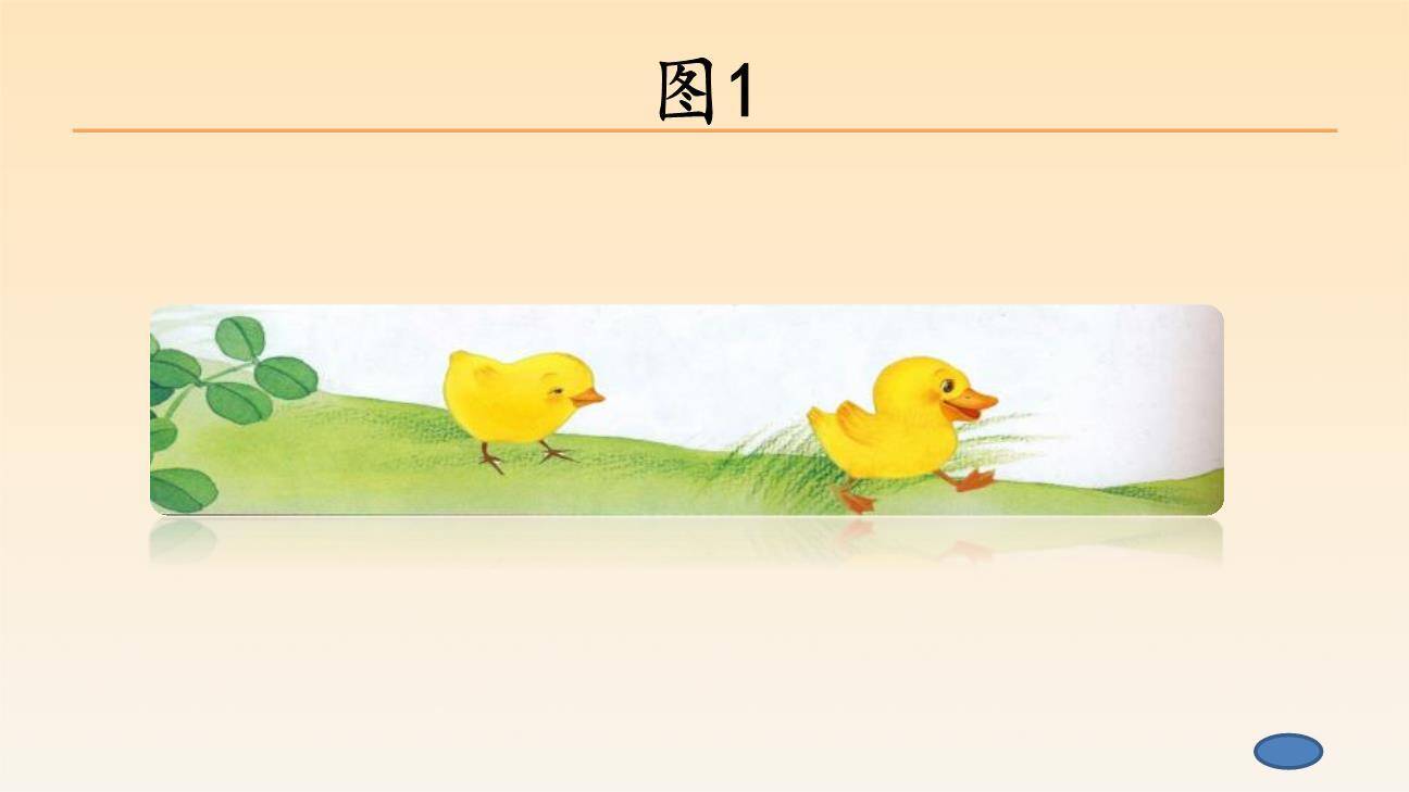 小公鸡和小鸭子PPT课件35