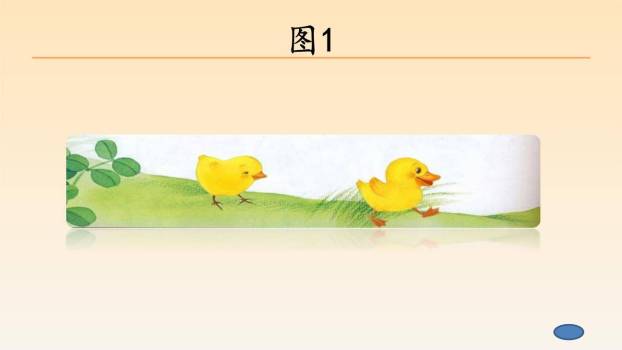 小公鸡和小鸭子PPT课件35