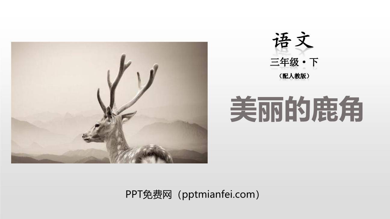 美丽的鹿角PPT课件10