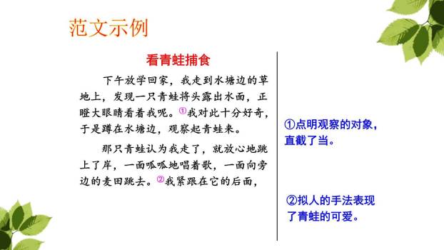 我们眼中的缤纷世界PPT课件38