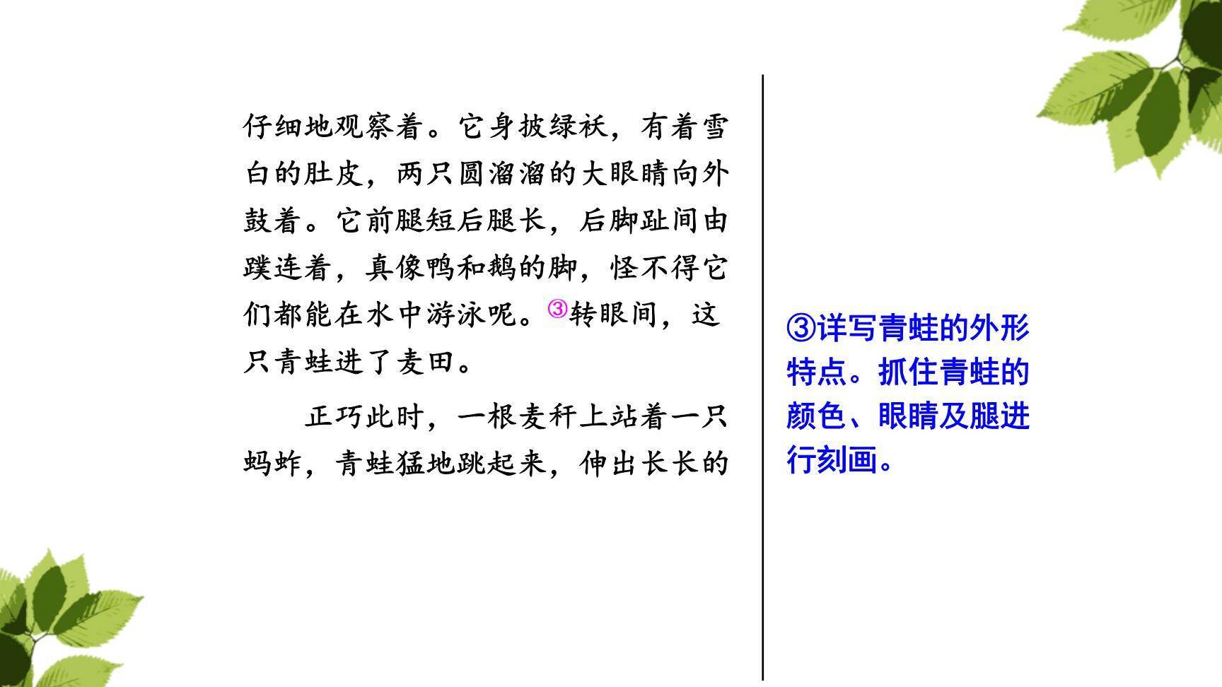 我们眼中的缤纷世界PPT课件39