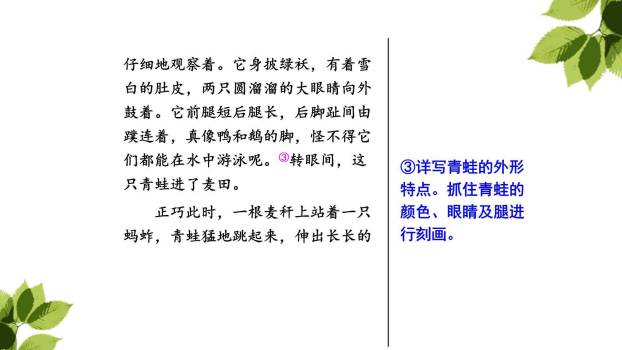 我们眼中的缤纷世界PPT课件39