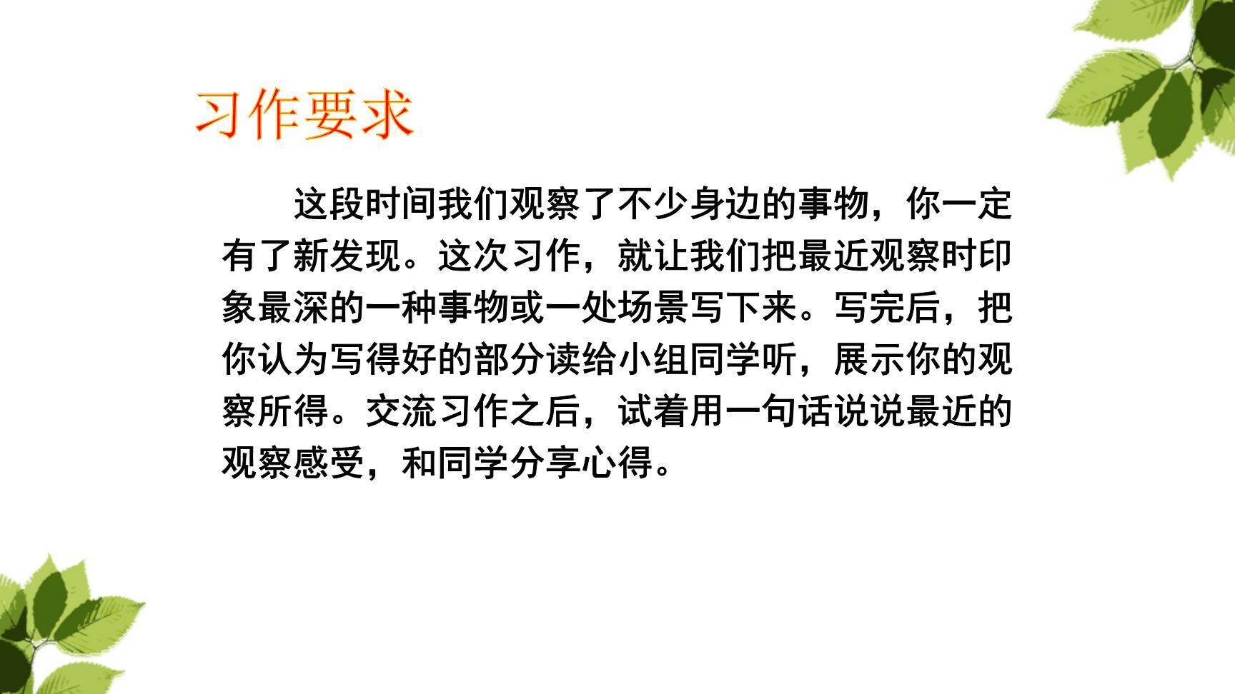 我们眼中的缤纷世界PPT课件33