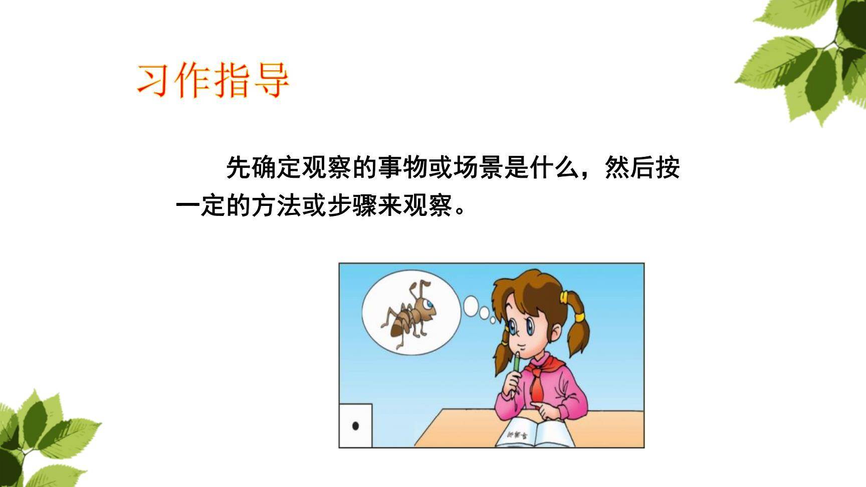 我们眼中的缤纷世界PPT课件34