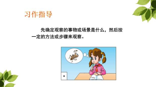 我们眼中的缤纷世界PPT课件34