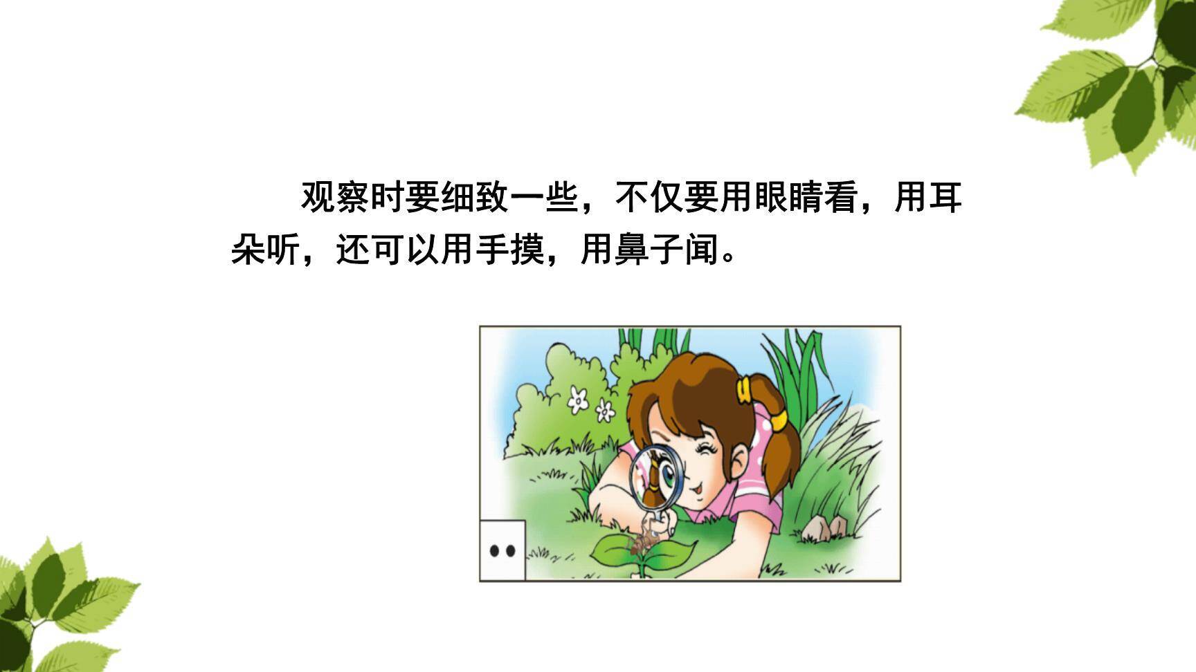 我们眼中的缤纷世界PPT课件35