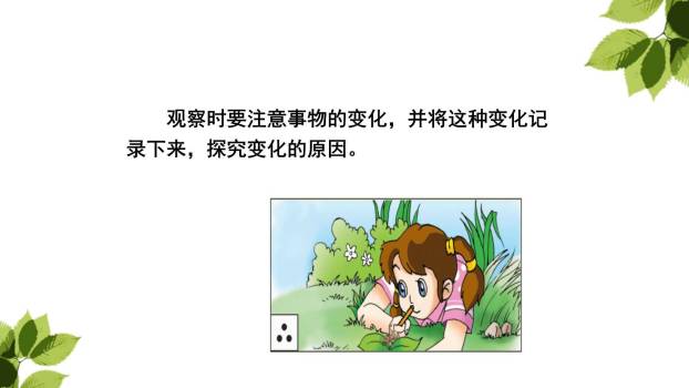 我们眼中的缤纷世界PPT课件36