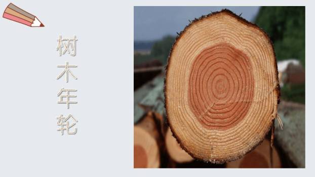 时间的脚印PPT课件49