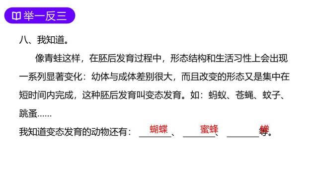 小蝌蚪找妈妈PPT课件59