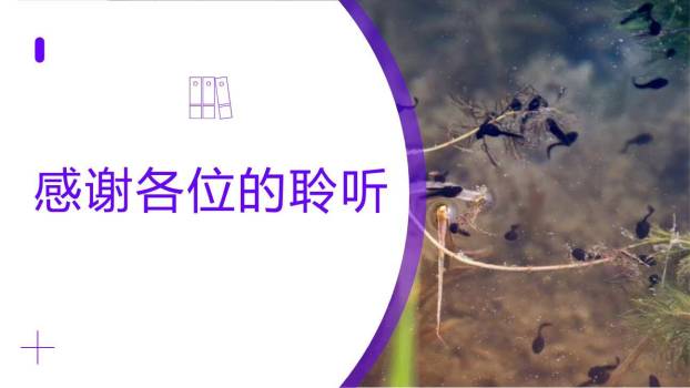 小蝌蚪找妈妈PPT课件51