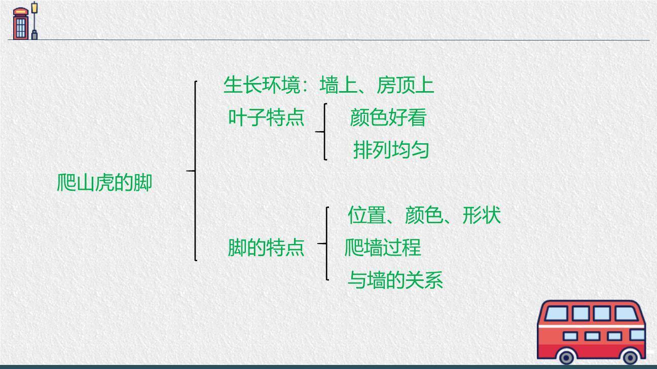 爬山虎的脚PPT课件82