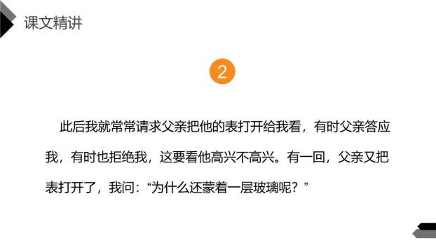 表里的生物PPT课件59