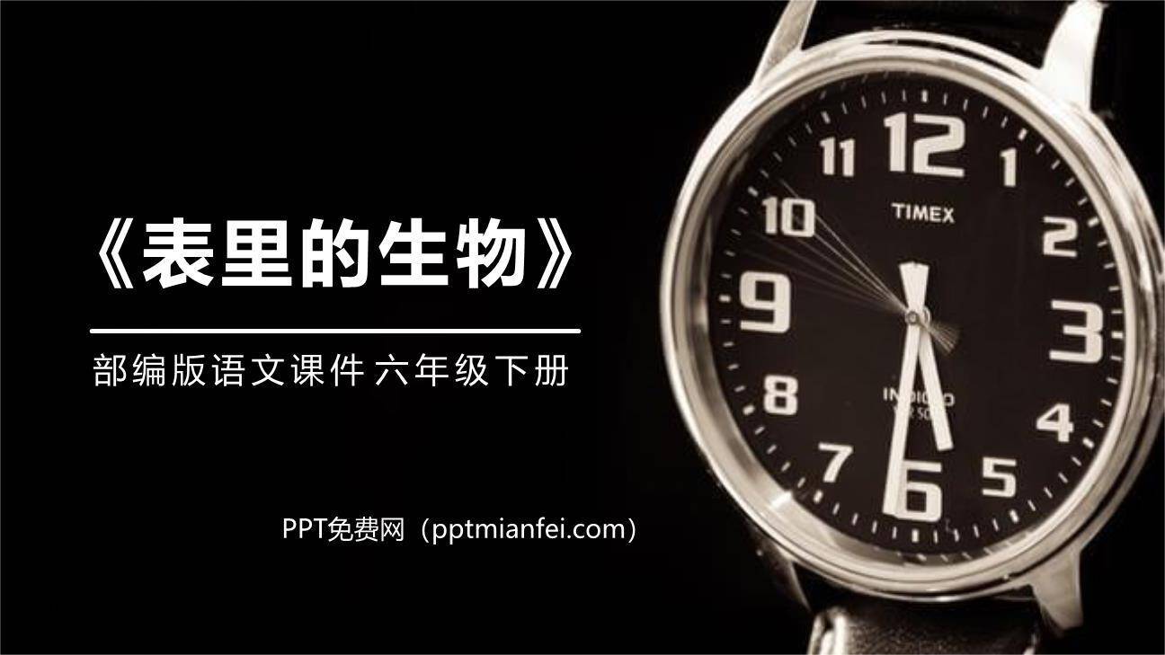 表里的生物PPT课件50