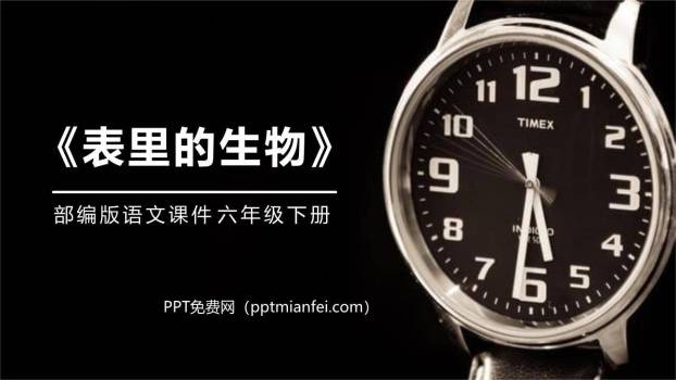 表里的生物PPT课件50