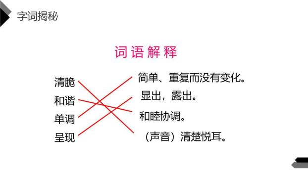 表里的生物PPT课件51