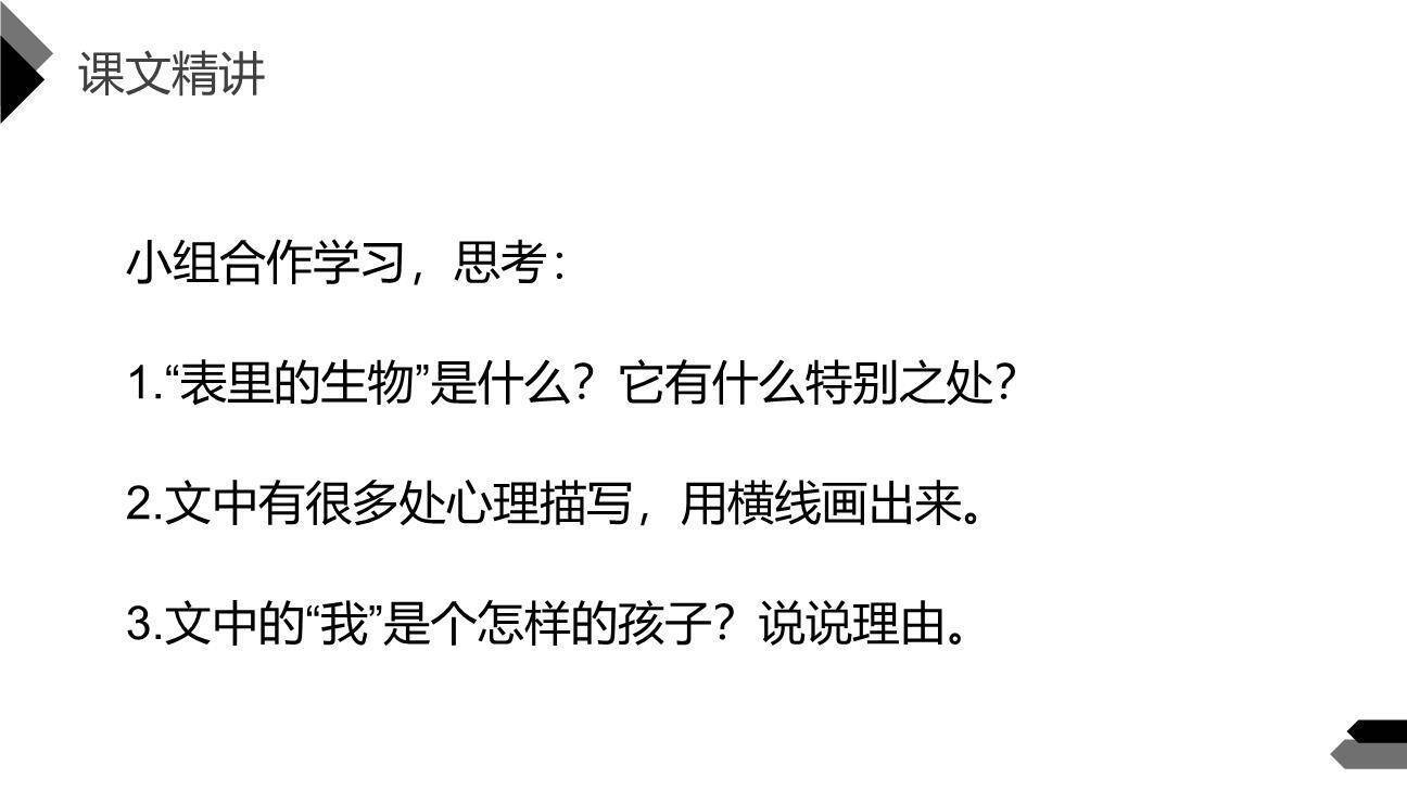 表里的生物PPT课件52