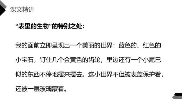 表里的生物PPT课件53