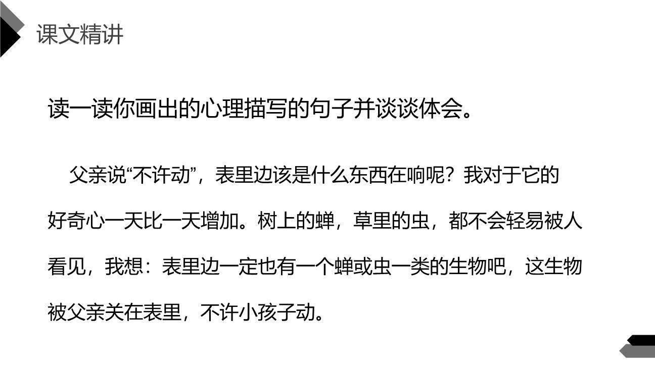 表里的生物PPT课件54