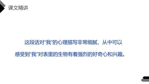 表里的生物PPT课件55