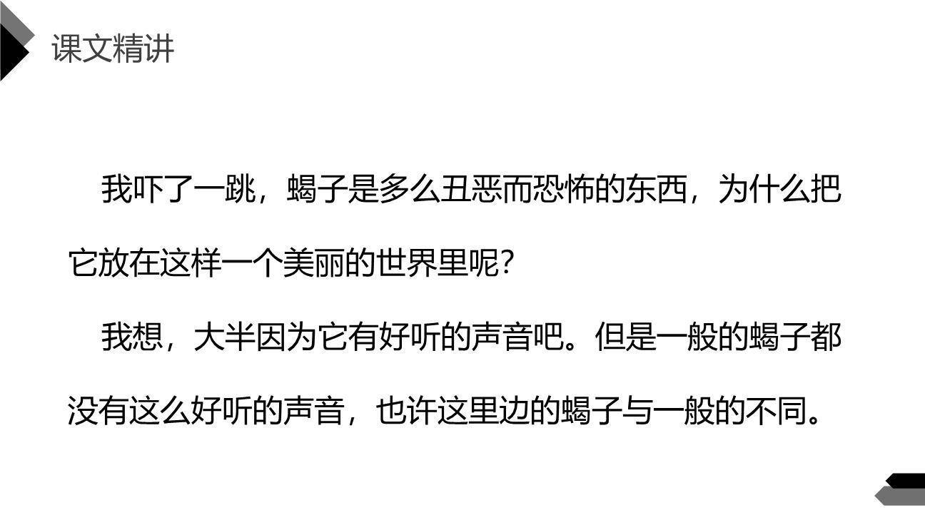 表里的生物PPT课件56