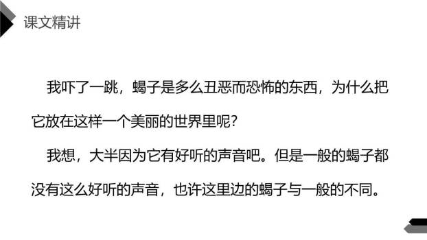 表里的生物PPT课件56