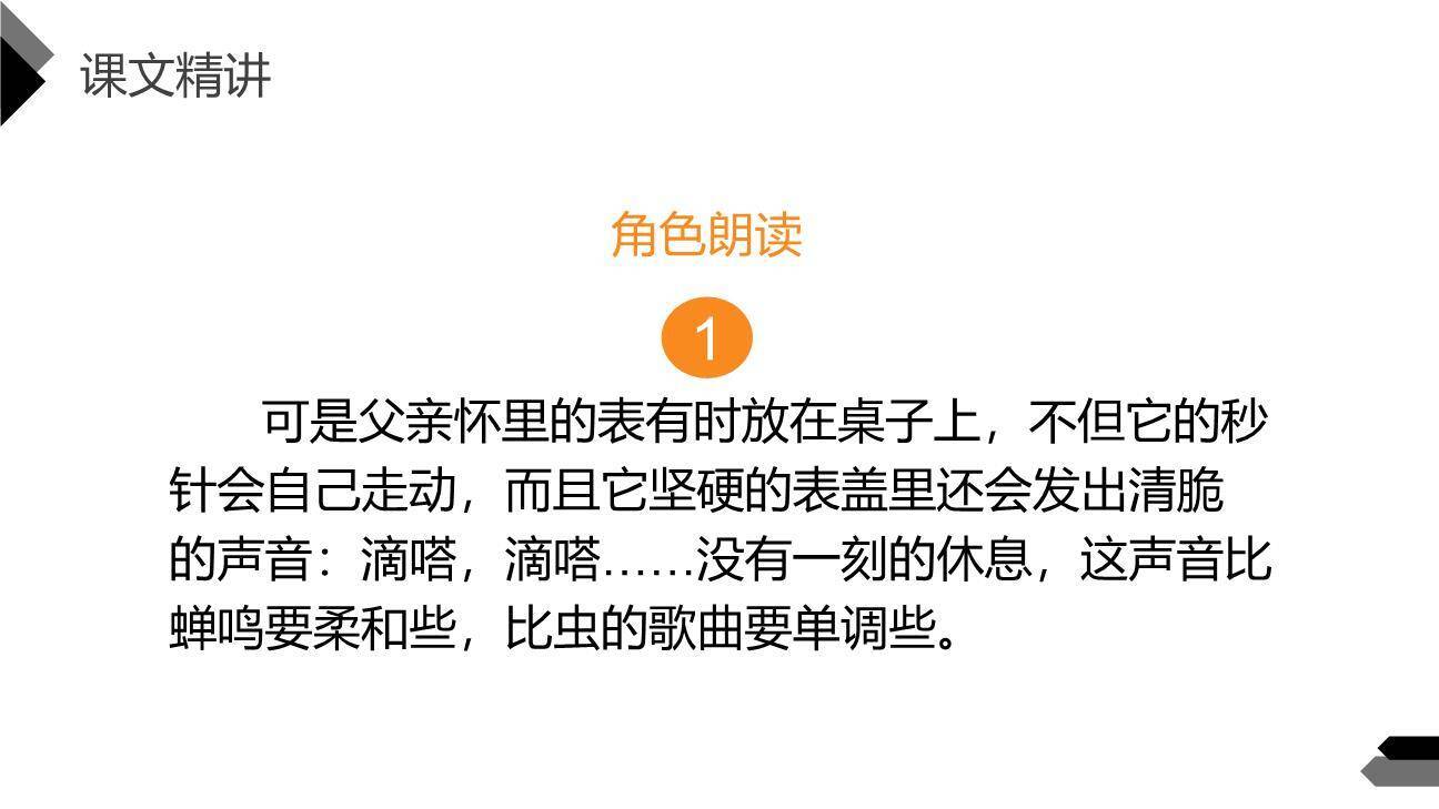 表里的生物PPT课件57