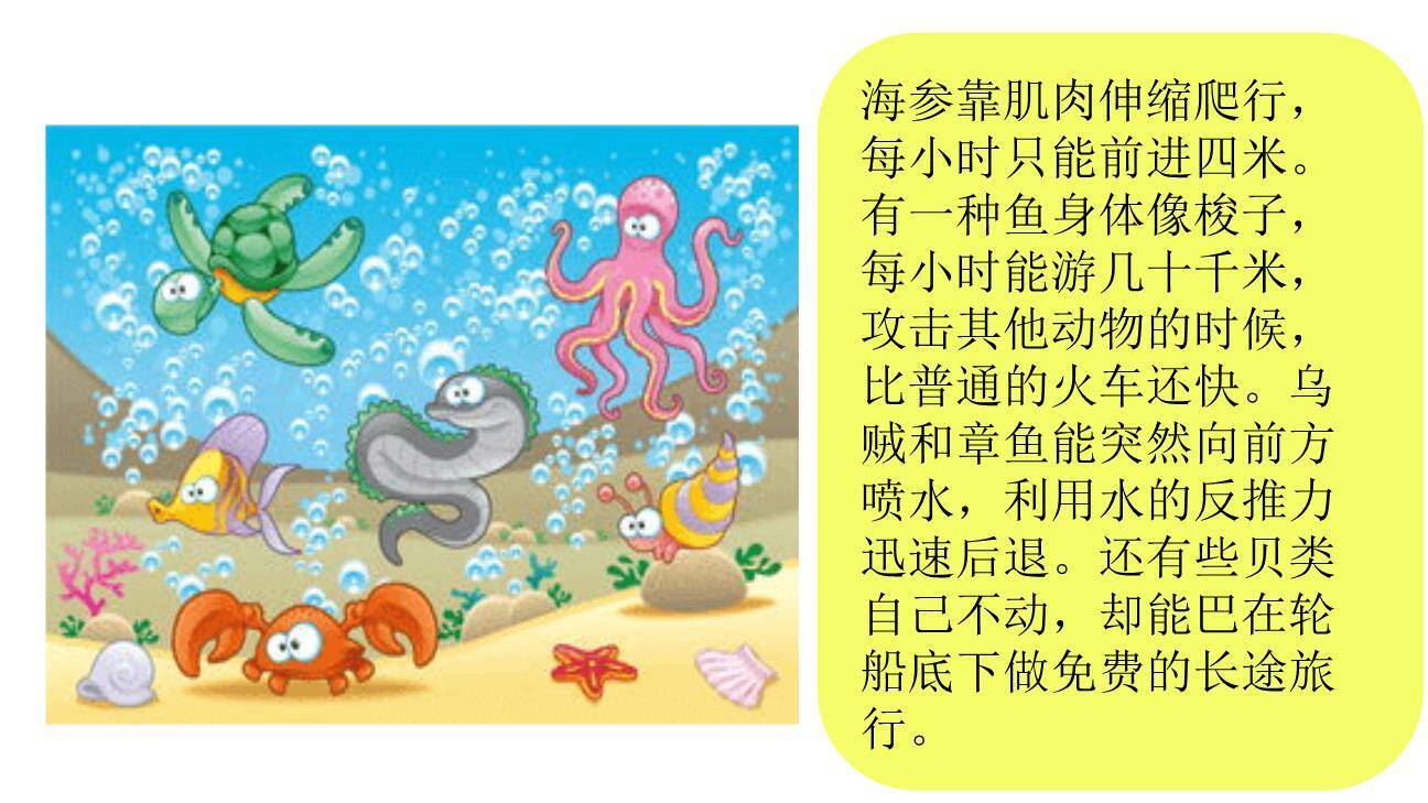 海底世界PPT课件11