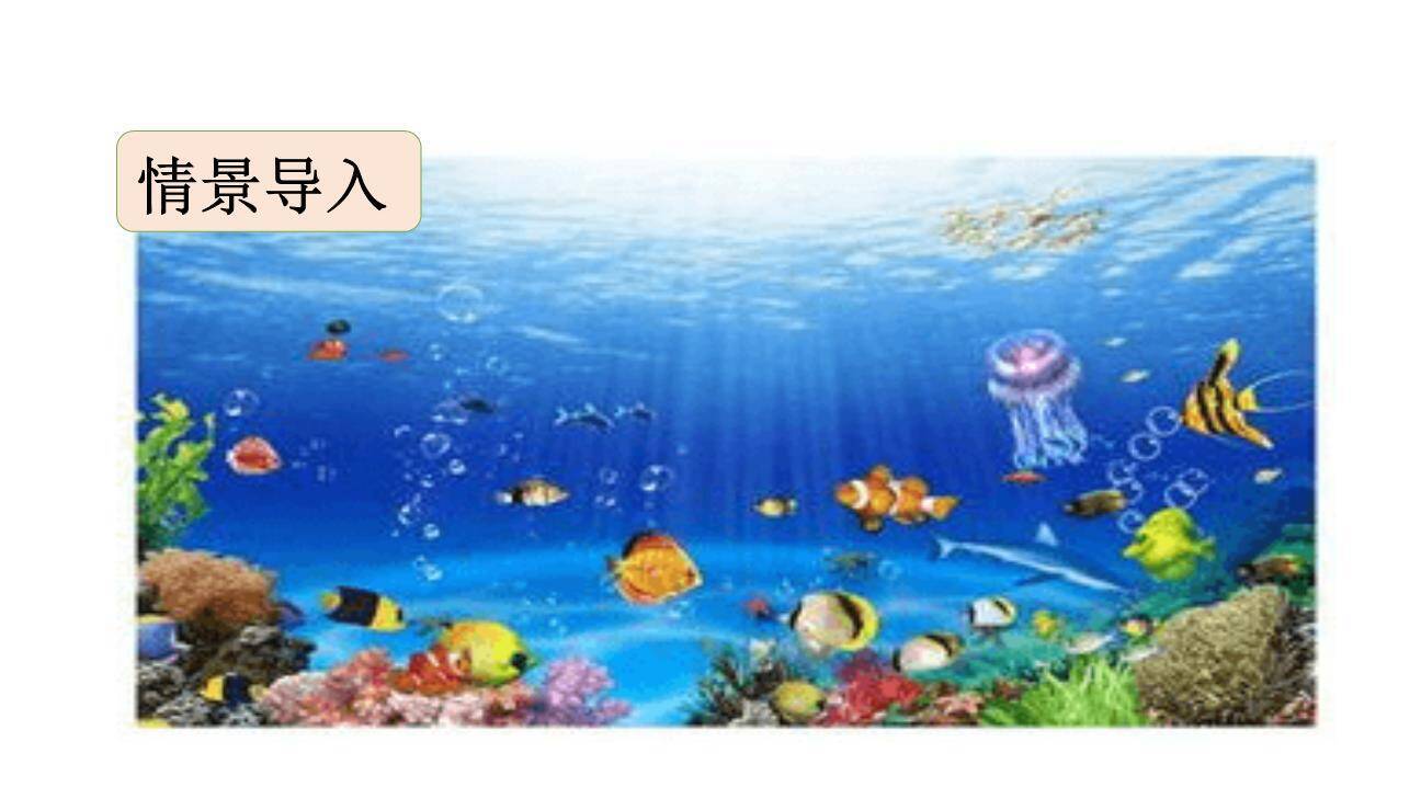 海底世界PPT课件15