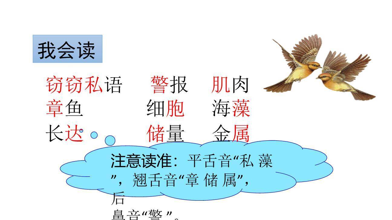 海底世界PPT课件17