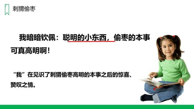 带刺的朋友PPT课件18