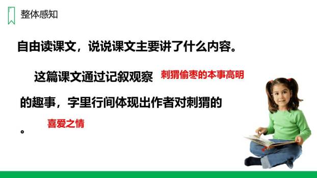 带刺的朋友PPT课件13