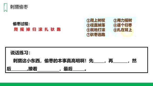 带刺的朋友PPT课件16