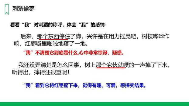 带刺的朋友PPT课件17