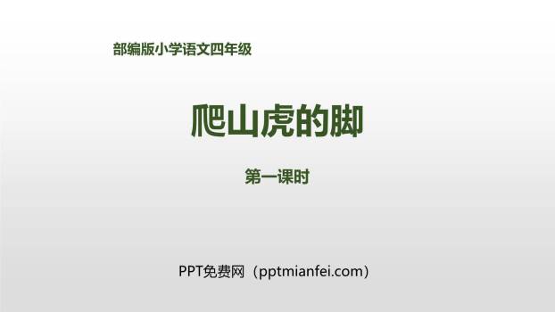 爬山虎的脚PPT课件60