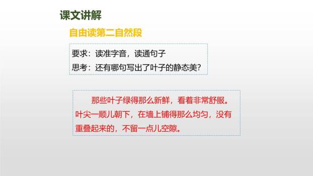 爬山虎的脚PPT课件62