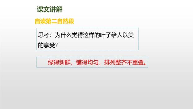 爬山虎的脚PPT课件63