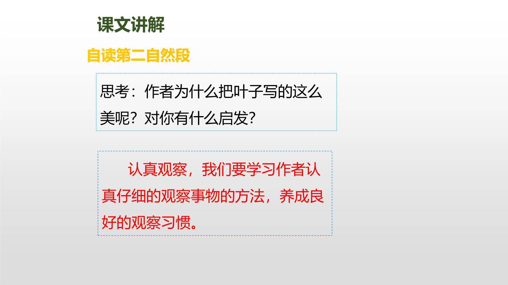 爬山虎的脚PPT课件65