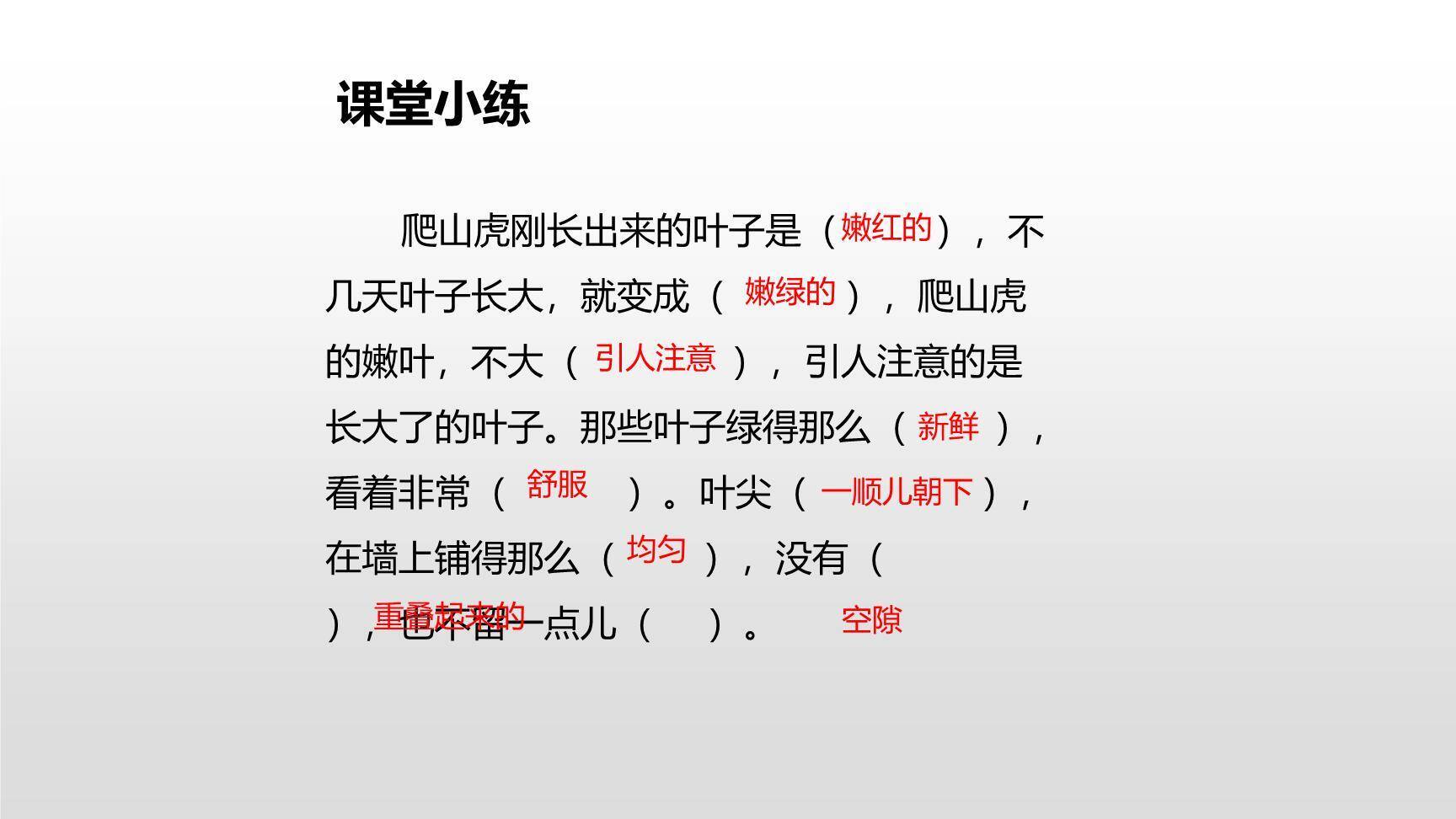 爬山虎的脚PPT课件66