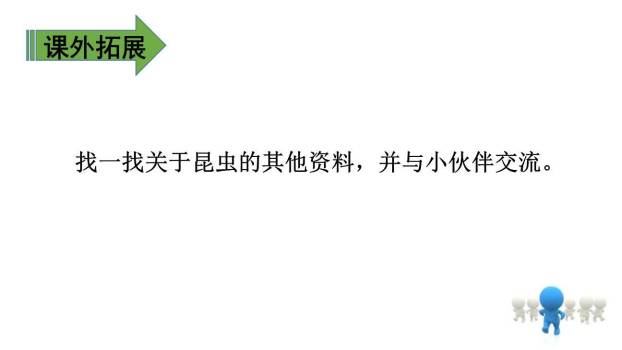 昆虫备忘录PPT课件21