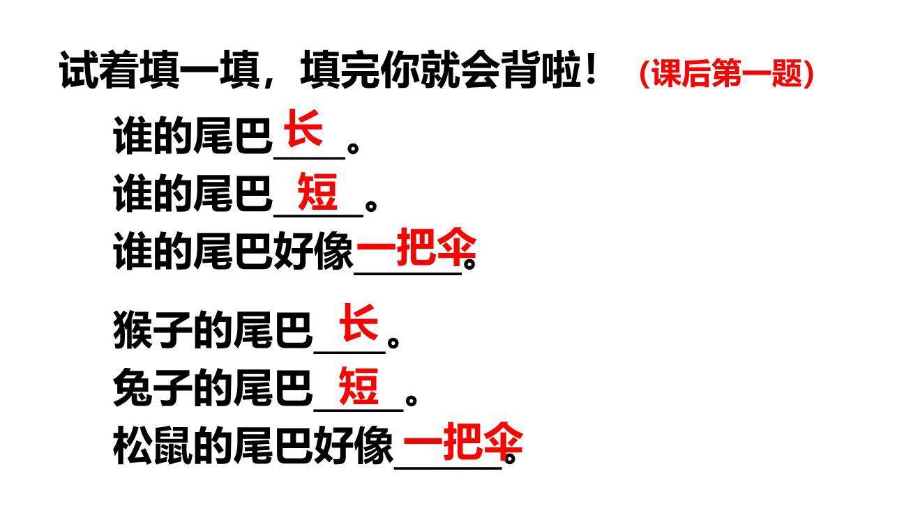 比尾巴PPT课件55