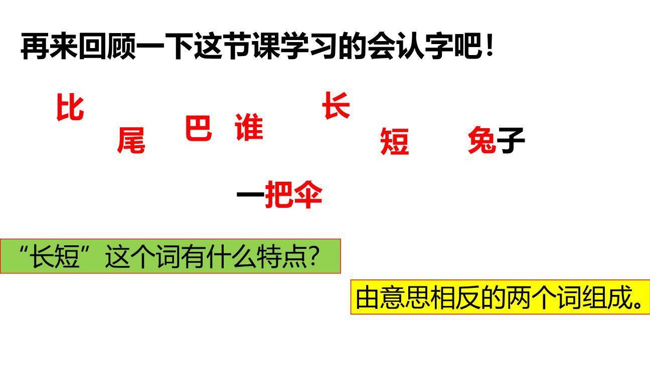 比尾巴PPT课件57