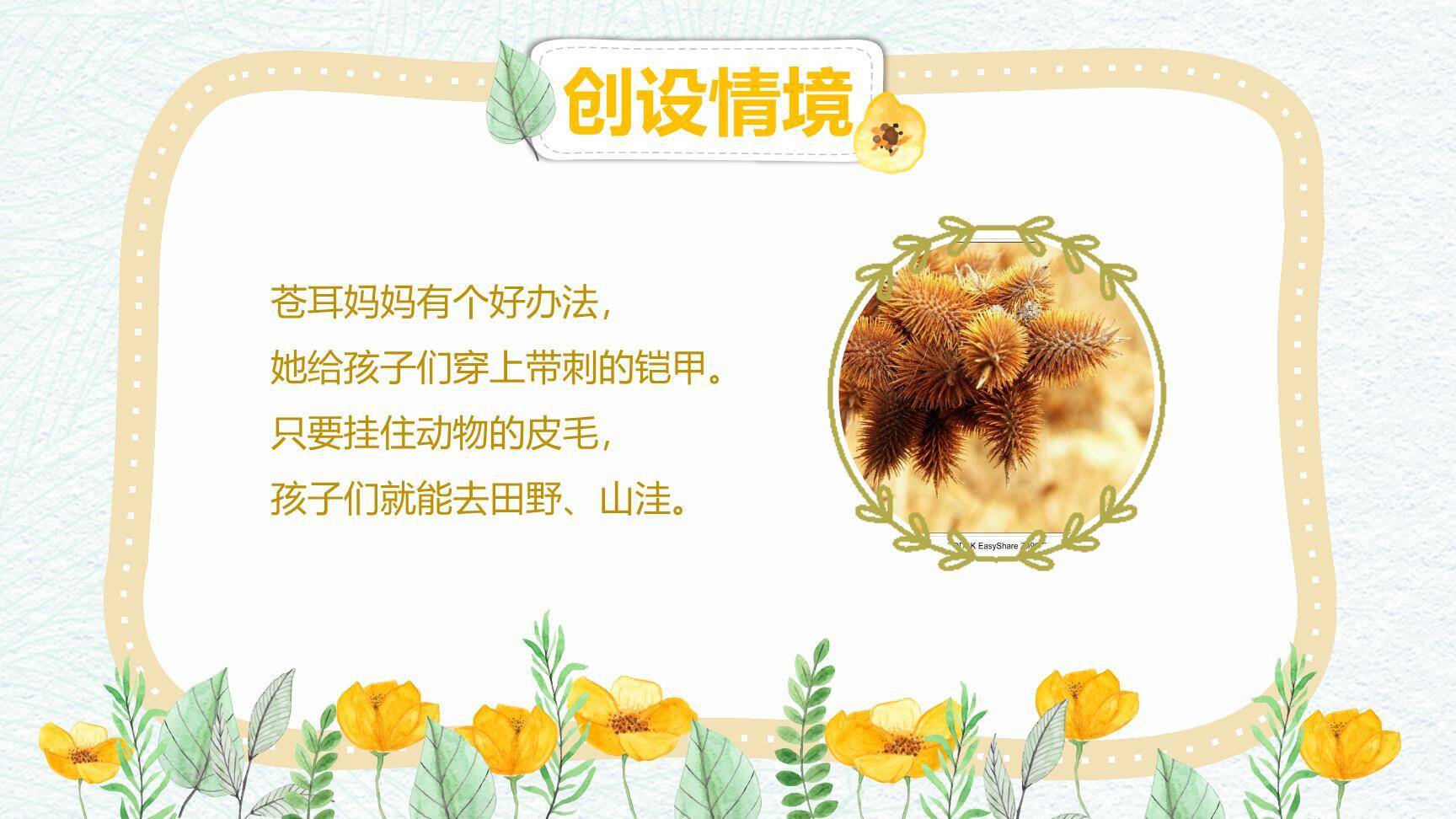 植物妈妈有办法PPT课件88