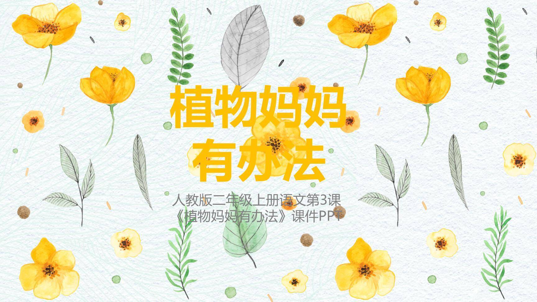 植物妈妈有办法PPT课件80